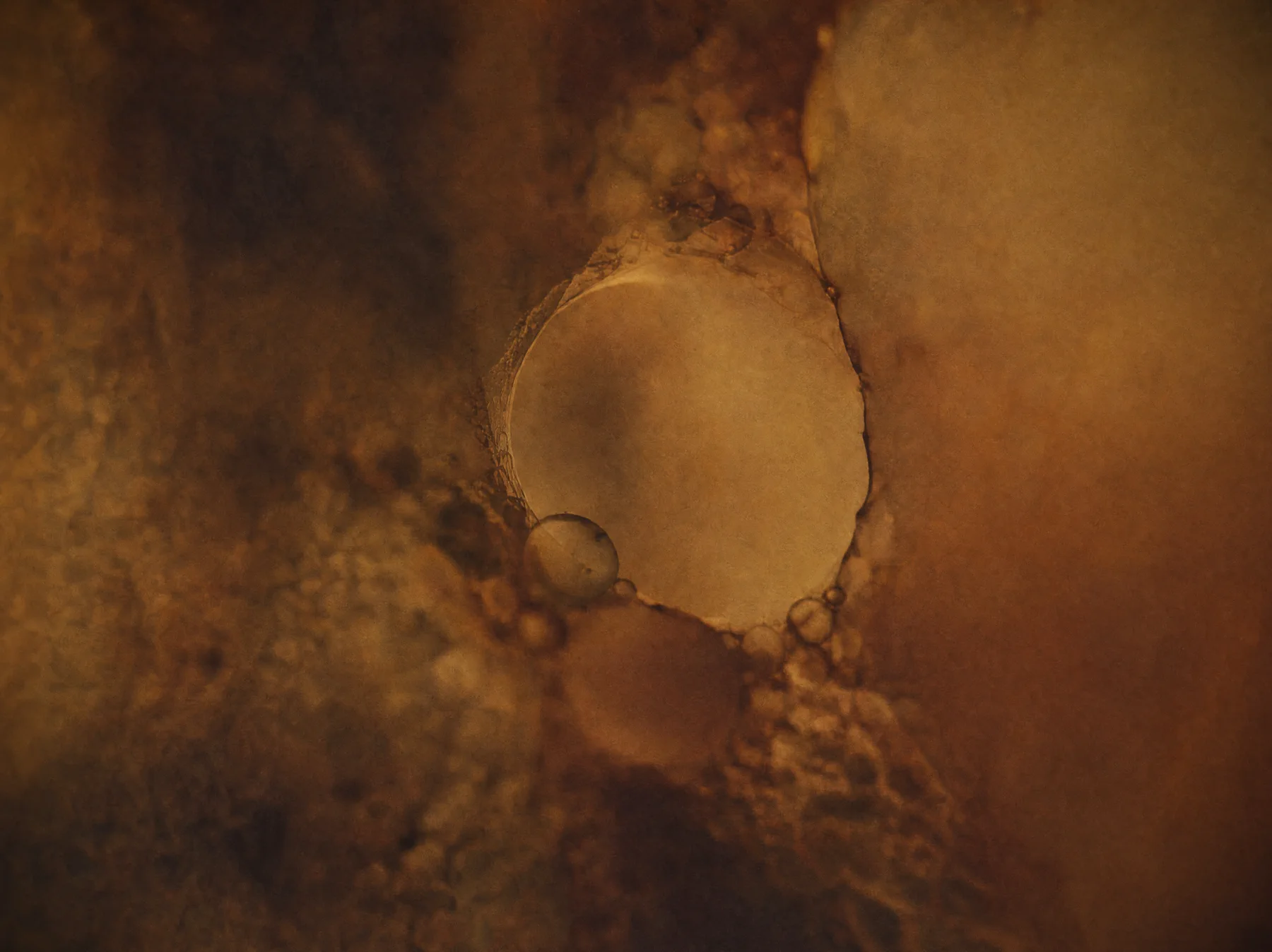 An amber cellular orbit gathering around a compact central form