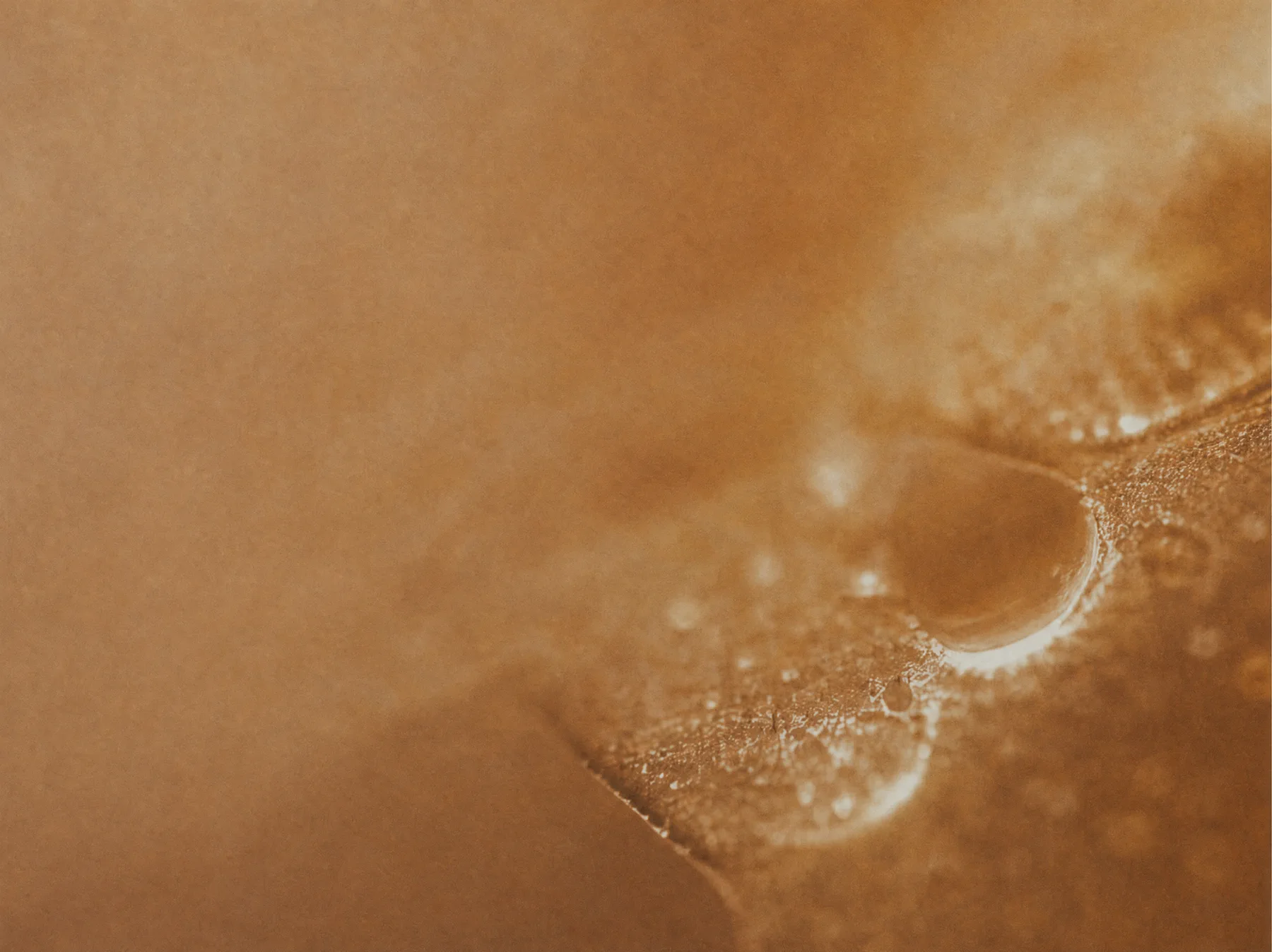 A honey-toned filament carrying energy across a tactile surface